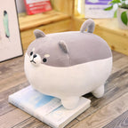 Bako, Baku & Bugu — The Angry Chonky Shiba Trio Plushie My Store