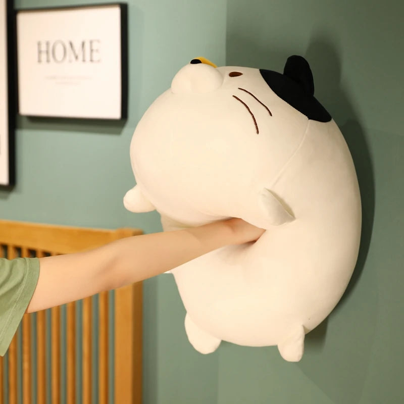 The Kawaii Chonky Cat Plushie Squad