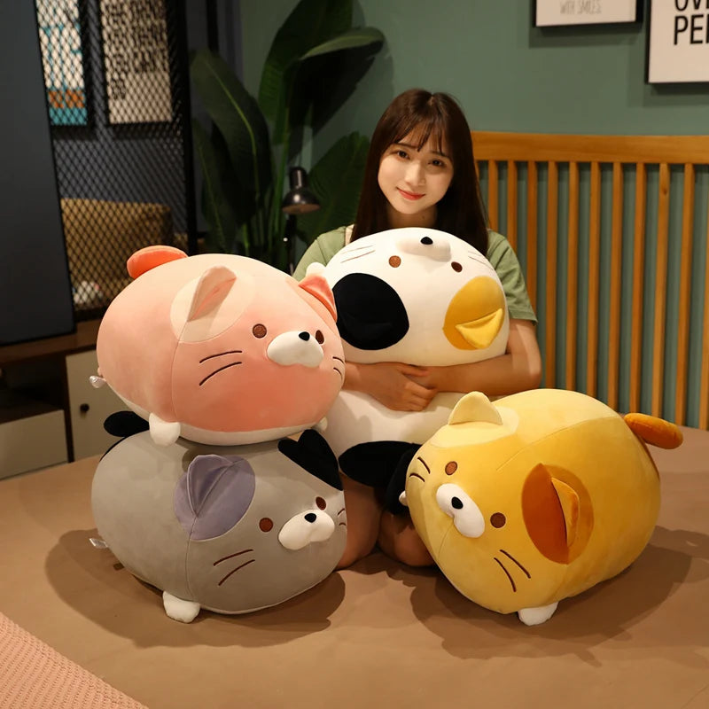 The Kawaii Chonky Cat Plushie Squad