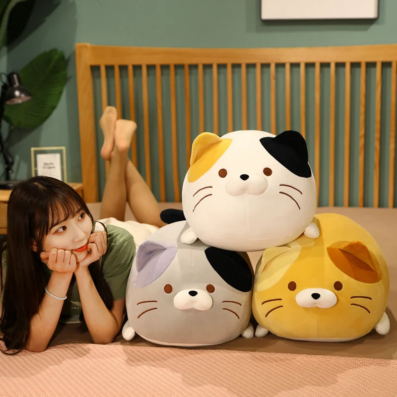 The Kawaii Chonky Cat Plushie Squad