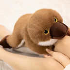 Plato — The Kawaii Platypus Plushie My Store