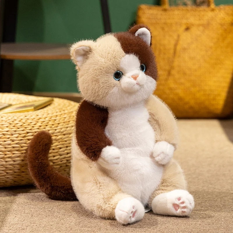 The Chubby Sitting Cat Plushie Trio My Store