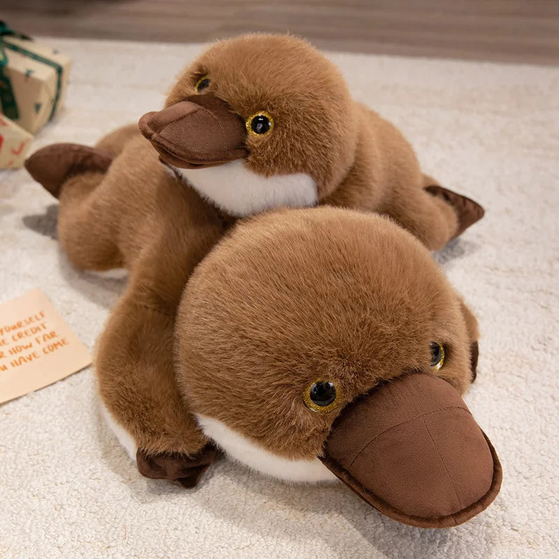 Plato — The Kawaii Platypus Plushie My Store