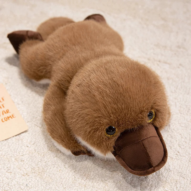 Plato — The Kawaii Platypus Plushie My Store