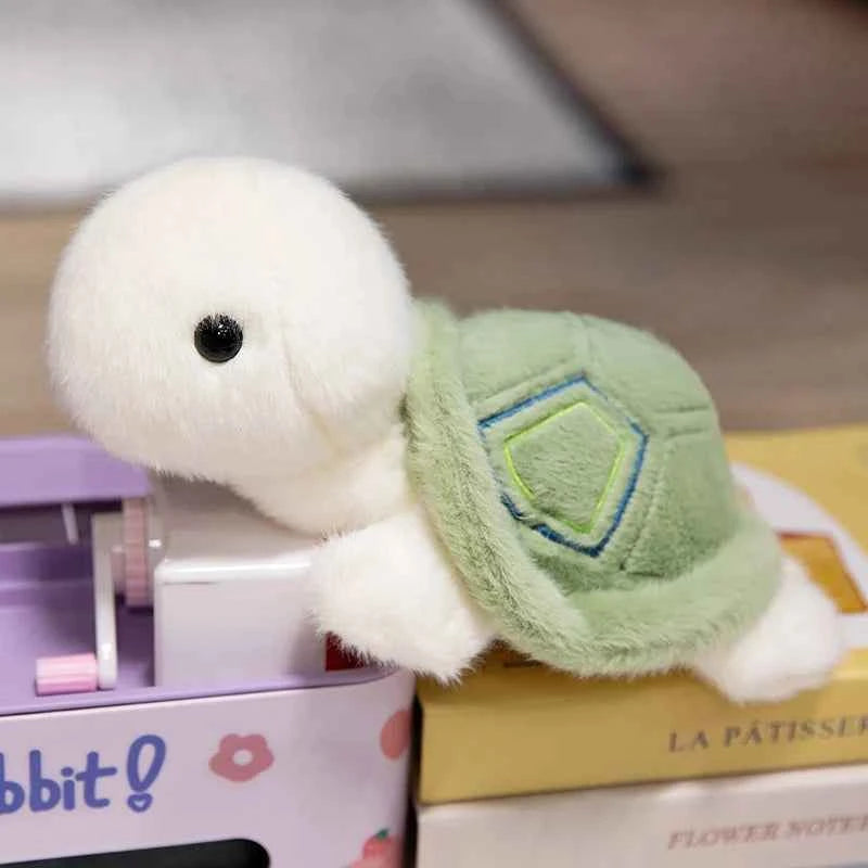 Gary The White Turtle (25cm / 10in)