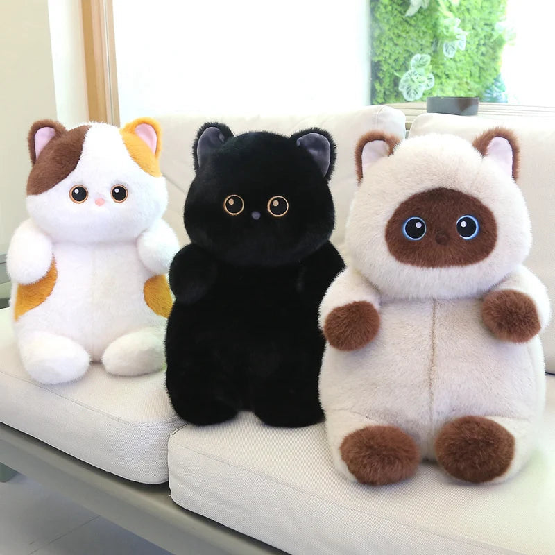 The Kawaii Chubby Cat Plushie Trio My Store