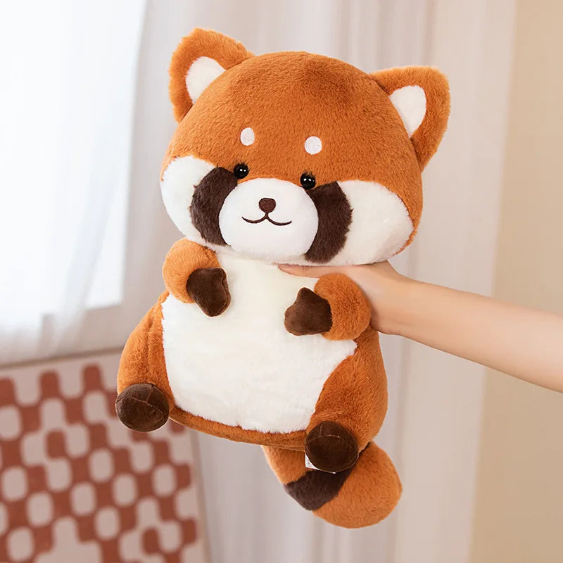 Rako — The Chonky Kawaii Raccoon