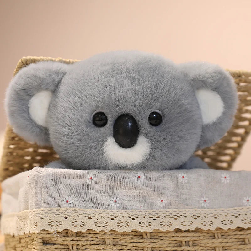 Paro — The Cute Chubby Koala Plushie