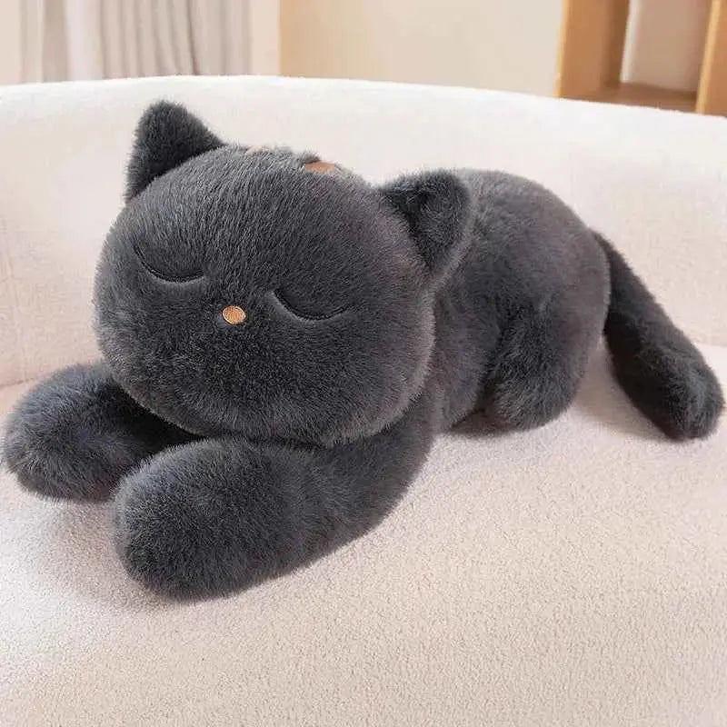 Koyo & Tayo — The Lazy Grumpy Cat Plushies