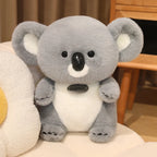 Paro — The Cute Chubby Koala Plushie
