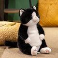 The Chubby Sitting Cat Plushie Trio My Store