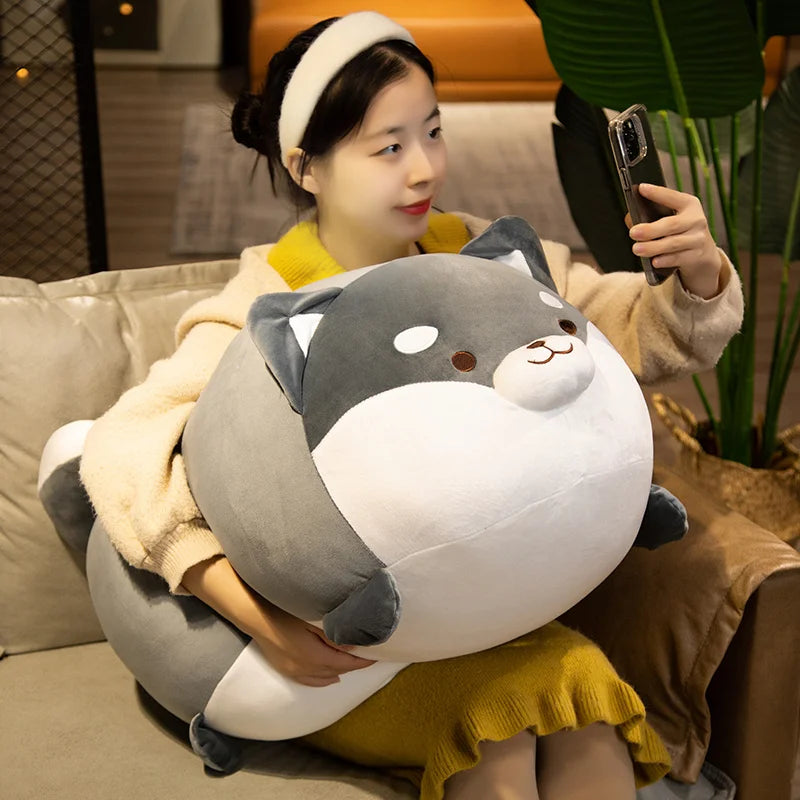 Muff, Mayo & Mio — Three Chonky Corgi Musketeers Plushies