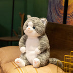 The Chubby Sitting Cat Plushie Trio My Store