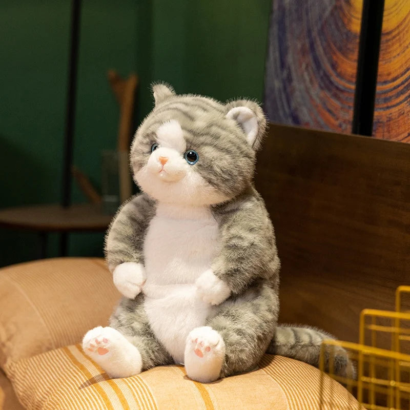 The Chubby Sitting Cat Plushie Trio My Store