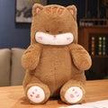 The Kawaii Sleeping Cat Plushie Duo My Store