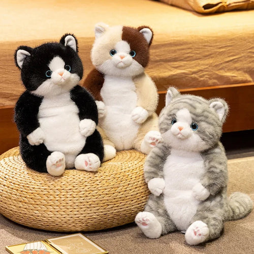 The Chubby Sitting Cat Plushie Trio My Store