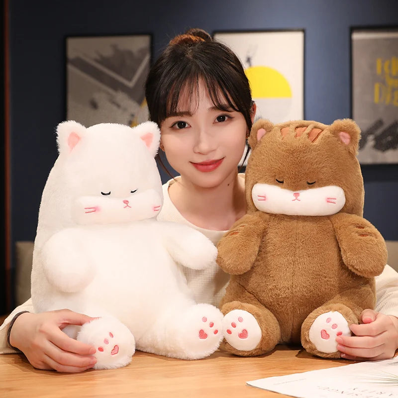 The Kawaii Sleeping Cat Plushie Duo My Store