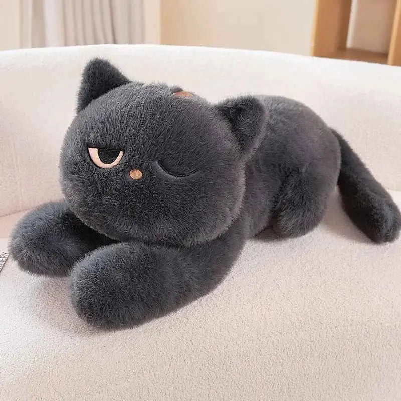 Koyo & Tayo — The Lazy Grumpy Cat Plushies
