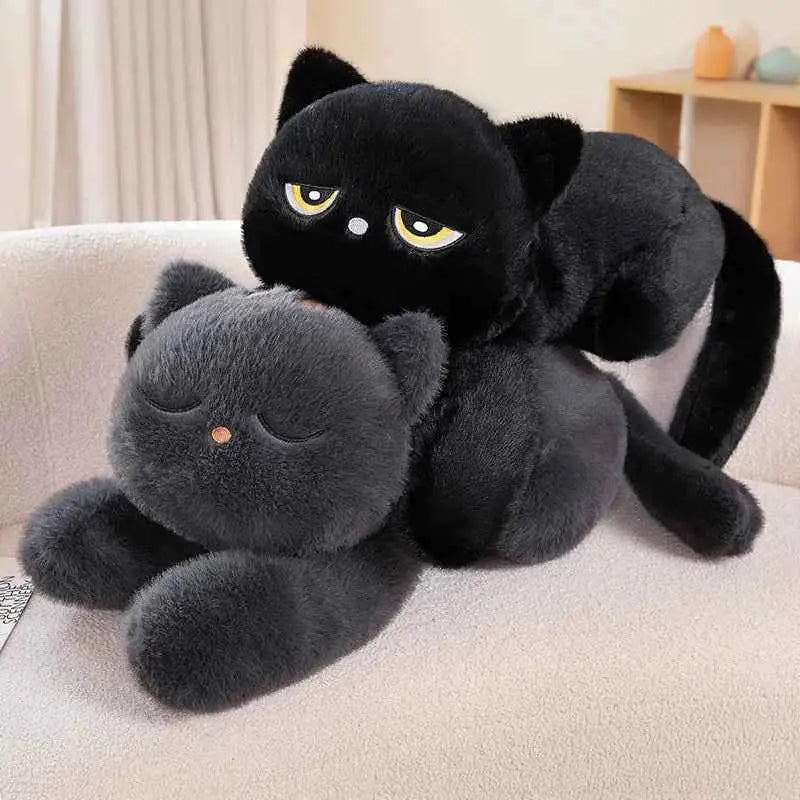 Koyo & Tayo — The Lazy Grumpy Cat Plushies