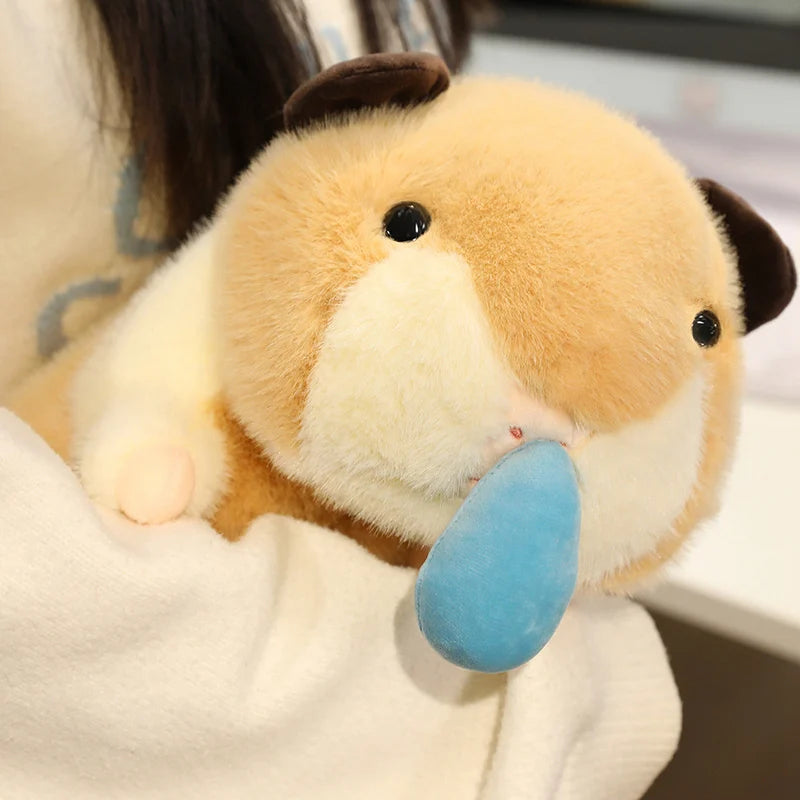 Kubu & Kobu — The Silly Hamster Plushie Duo My Store