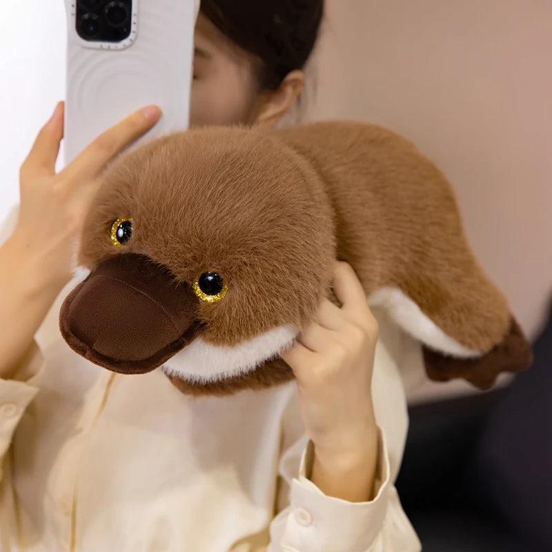 Plato — The Kawaii Platypus Plushie My Store