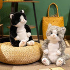 The Chubby Sitting Cat Plushie Trio My Store