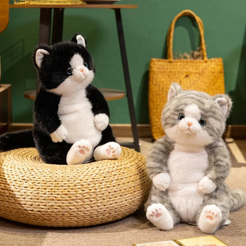 The Chubby Sitting Cat Plushie Trio My Store