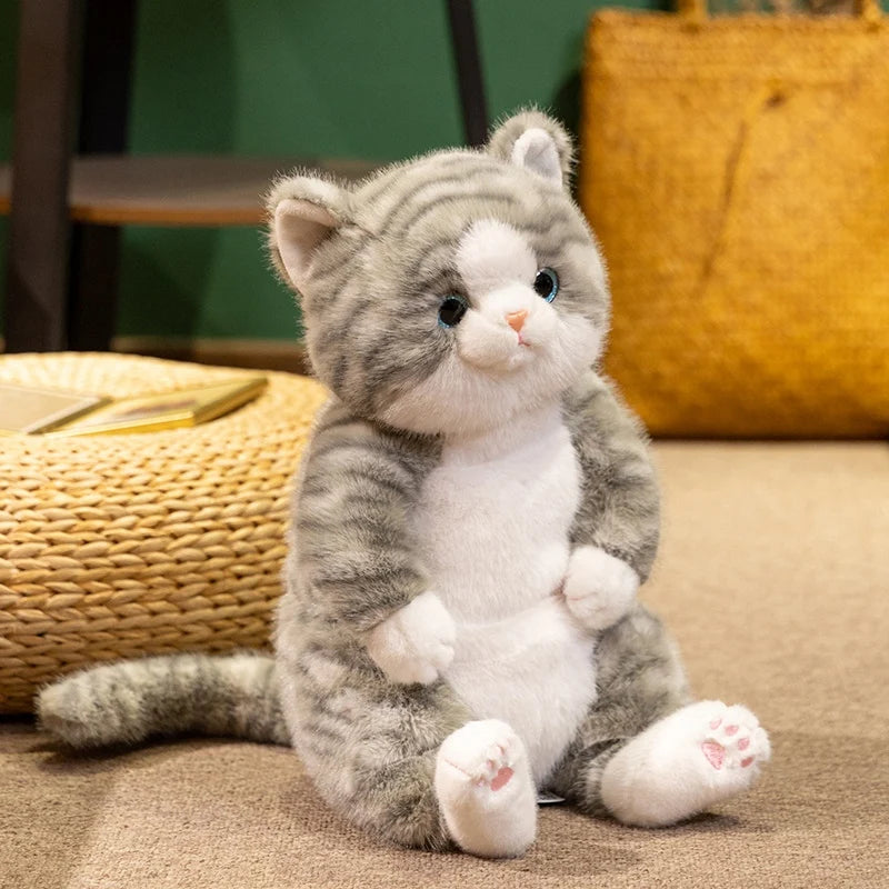 The Chubby Sitting Cat Plushie Trio My Store