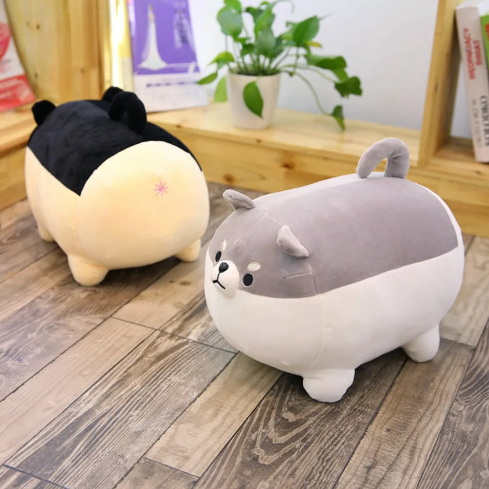 Bako, Baku & Bugu — The Angry Chonky Shiba Trio Plushie My Store