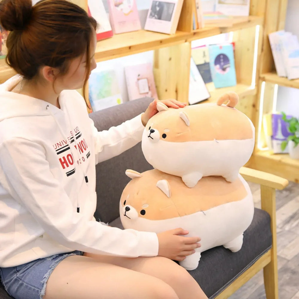 Bako, Baku & Bugu — The Angry Chonky Shiba Trio Plushie My Store