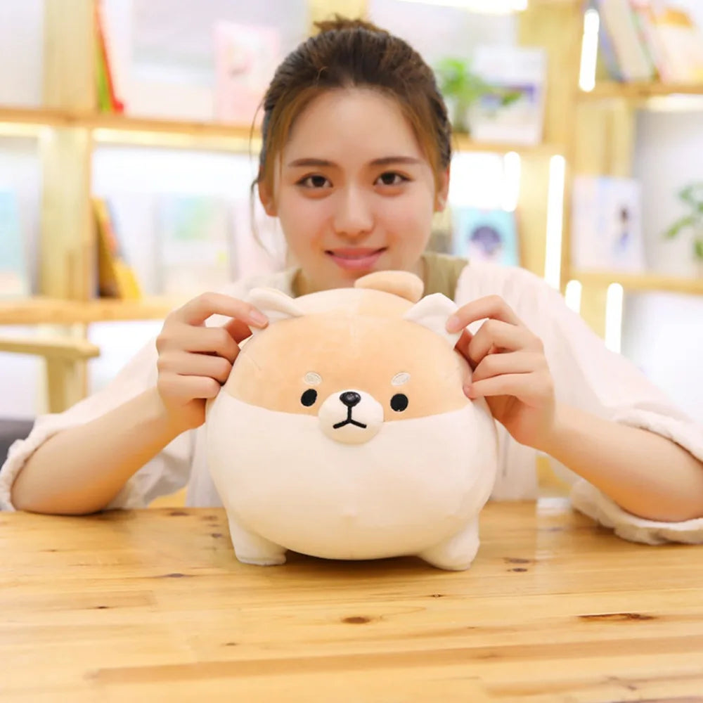 Bako, Baku & Bugu — The Angry Chonky Shiba Trio Plushie My Store