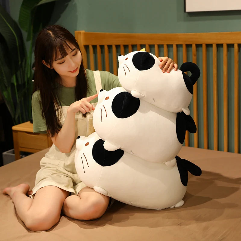 The Kawaii Chonky Cat Plushie Squad My Store