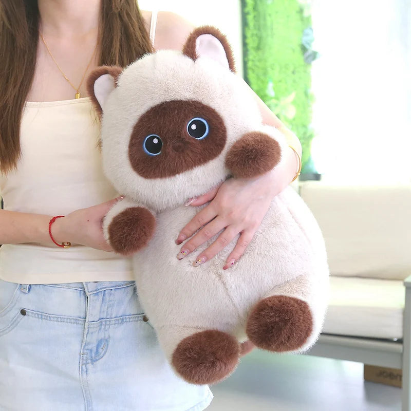 The Kawaii Chubby Cat Plushie Trio My Store