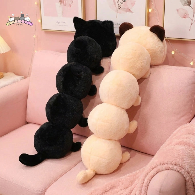 Mimo & Mano — The Caterpillar Cats Plushie My Store