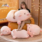 Oinky — The Lazy Pig Plushie My Store