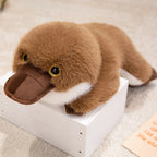 Plato — The Kawaii Platypus Plushie My Store