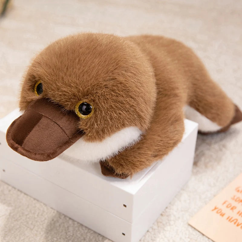Plato — The Kawaii Platypus Plushie My Store