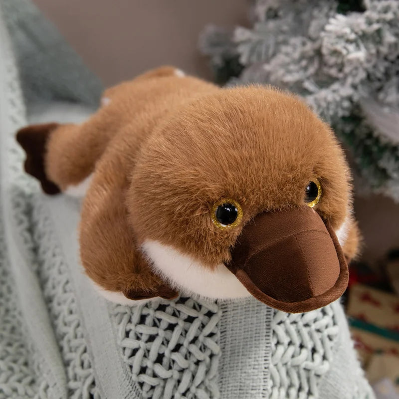 Plato — The Kawaii Platypus Plushie My Store