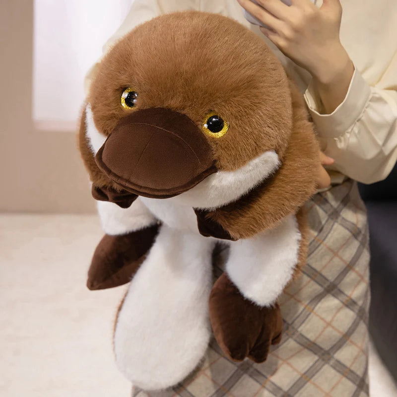 Plato — The Kawaii Platypus Plushie My Store