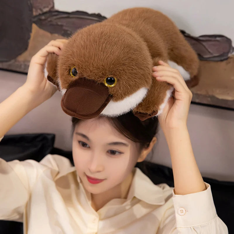Plato — The Kawaii Platypus Plushie My Store