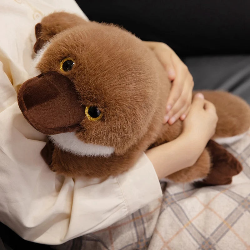 Plato — The Kawaii Platypus Plushie My Store