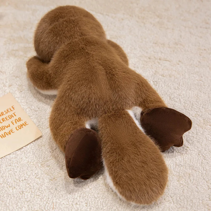 Plato — The Kawaii Platypus Plushie My Store