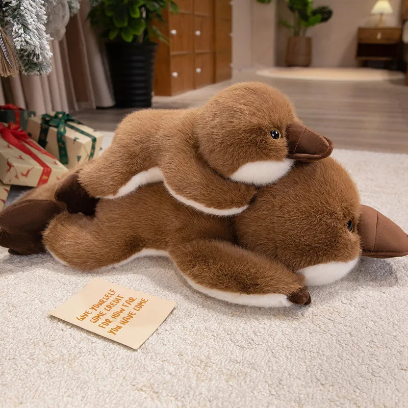 Plato — The Kawaii Platypus Plushie My Store