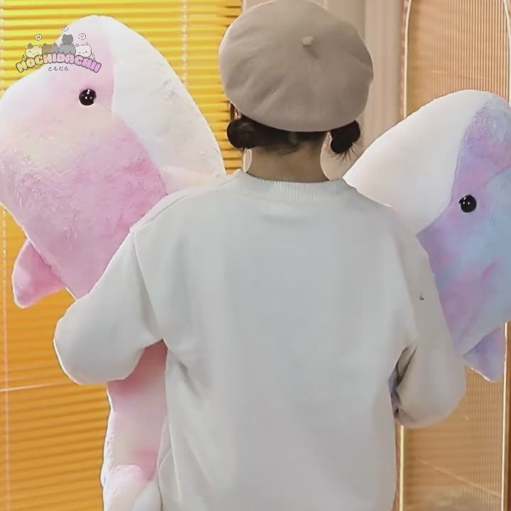 The Galaxy Rainbow Dolphin Plushie Duo