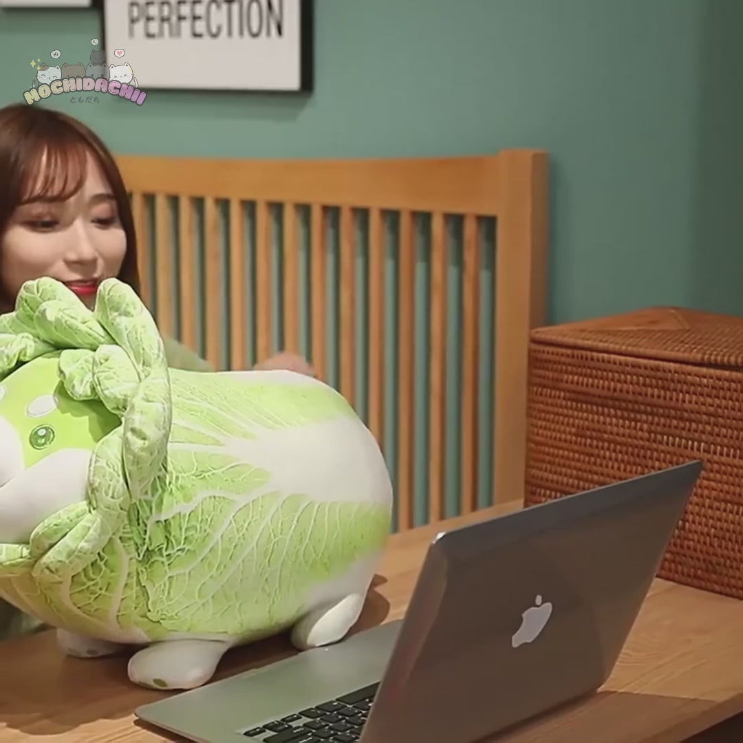 Veggi — The Veggie Wrapped Corgi Plushie