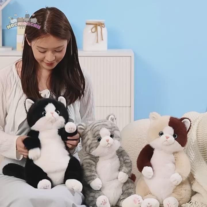 The Chubby Sitting Cat Plushie Trio