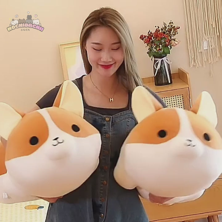 Pota — The Playful Corgi Plushie
