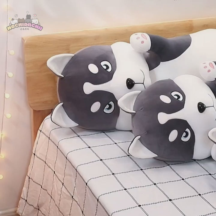 Haku — The Long Playful Husky Plushie