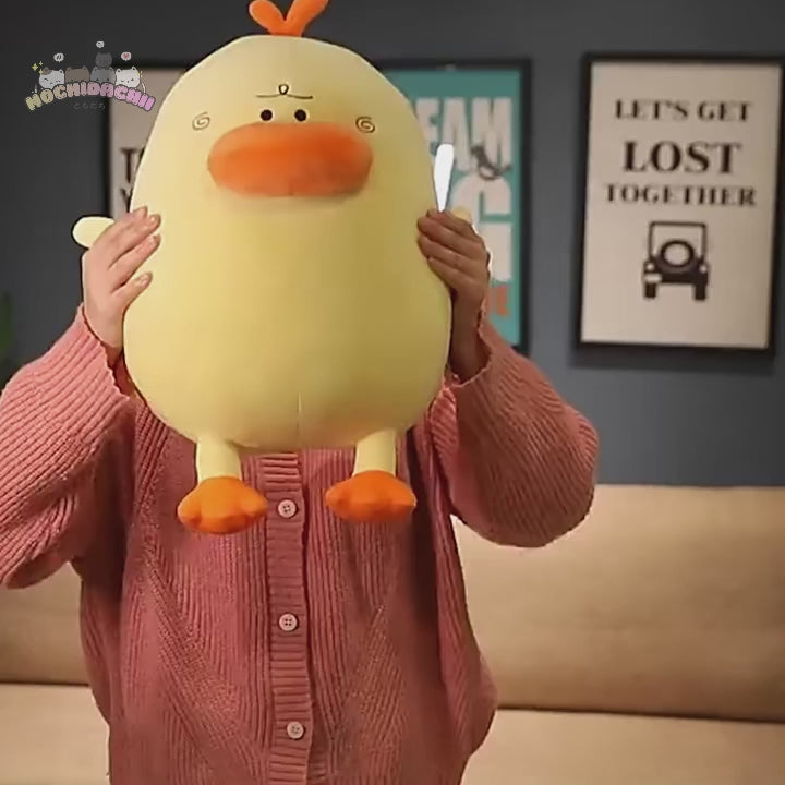 Yuyu & Zuzu — The Confused Duck Plushies