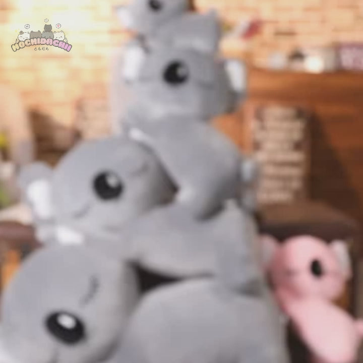 Nemu & Nemi — The Sleeping Koala Plushies